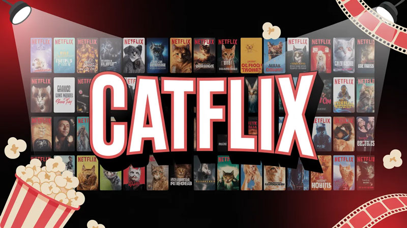 catflix